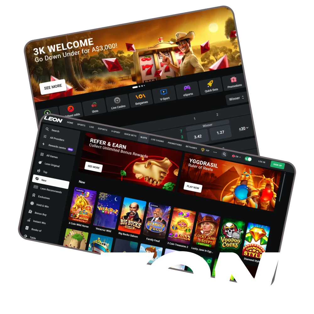 For betting and games, choose the Leonbet website.
