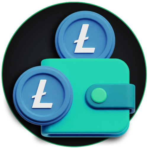 LeonBet offers a variety of cryptocurrencies and local payment methods.
